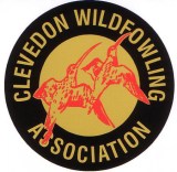 cropped-cwa-logo.jpg