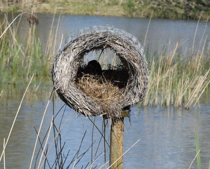 Nesting tube with duck