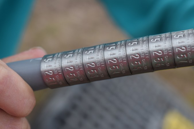 Duck Ringing 2016 (132)