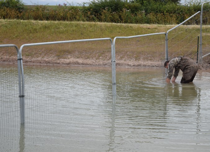 Duck Ringing 2016 (89)