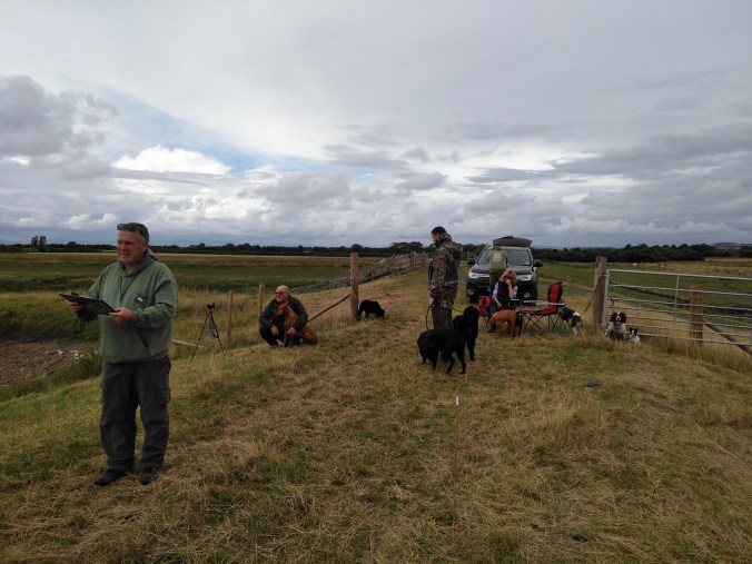 IMG_20170722_153655 (1)