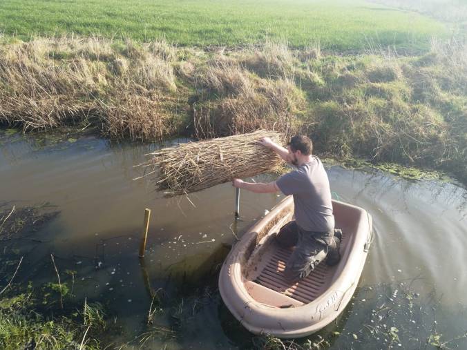 CWA nesting tube maintenance